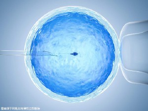 拉拉试管三代代孕机构